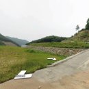 여주-0007 이미지