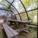 기차여행독채펜션 이미지