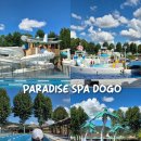 캠프도고 | (아산) 파라다이스 스파 도고 캐빈파크 &amp; 버블쇼