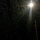 석순이네민물매운탕 이미지