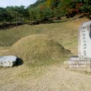 강원장의사 이미지