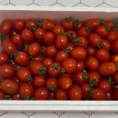 해밀2농장 이미지