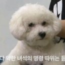 세훈학원