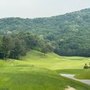 유담빌 | 이천 뉴스프링빌CC 라운딩 후기 (5월)