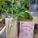 병방초등학교 앞 | 영어 실력이 늘었어요!&#34; Kumetang Day(꾸메땅데이) 후기를 통해 알아보는 영어 발표력 키우는 방법!