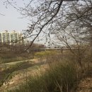 주정차 단속 - 032 이미지
