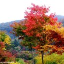 적상면016 이미지