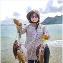 낚시 - 강릉시 율곡로 2932 | 낚시