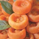 전원가든농원 이미지