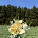 바리메 | 제주도 셀프 웨딩스냅 후기 포토스팟 - 바리메오름