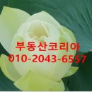 구암동158 이미지