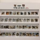 캣플헤븐 AK플라자금정점 이미지