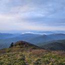 곰배령 벨리 이미지