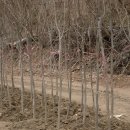 느티농원 이미지