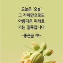 산들바람 이미지