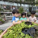 26.5.27(수)-신구대 식물원 이미지