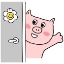 하운드 광주첨단 이미지