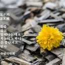 카페명리