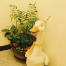 오리대가 이미지