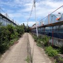 강정동-5 이미지