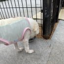 계양경기장 운동장 이미지