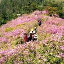 제암산등산로 이미지