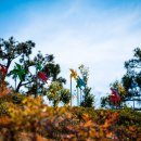 삼천포종합시장 이미지