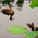 (주)산우 이미지