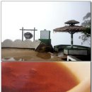 인도양의 진주, 스리랑카 ＜초록님 글입니다＞
