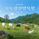 산토끼목장 | 왜 인생 뷰맛집일까? 강원도 태백 가볼만한곳 몽토랑산양목장 여름 가족 여행 코스 꿀팁 후기