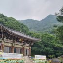 수리사슬기봉길 이미지