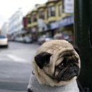 여지축산 이미지