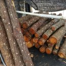 김영수농장 이미지