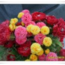 정재우행정사 사무소 이미지