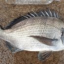 삼다수라상 이미지