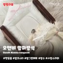 강아지밥코스터 오앤비 | 귀여운 펫용품점 맘마방석 밥꾸매트 내돈내산 후기