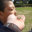 풀냄새꽃향기 이미지