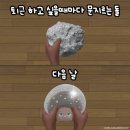 (주)유미컴 | 공사다망한 나의 2월 (익산농협 생크림찹쌀떡 후기)