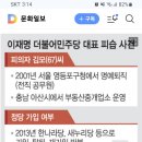 이재명 더불어민주당 대표 피습 사건 김모씨 이미지