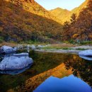 굴구지정원 이미지