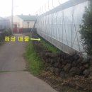 남원읍사무소[남] 네이버블로그