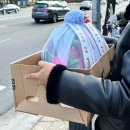 대덕상회 | [대전 중리동] 부모님 첫 인사 선물ㅣ과일바구니 선물세트 추천, &#39;중리 10번 상회&#39;