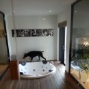 쇼독동물병원 이미지