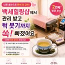 백세힐링샵 재방문 후기 – 이번엔 복부관리까지 받아봤어요