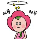 힐링아트문화생활협동조합