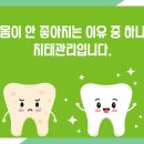 홀치과의원 네이버블로그