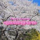 용인중앙공원_M 이미지