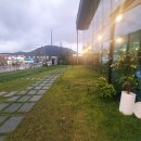 물자리매운탕 | 여기가 매운탕집이라고? 규모부터 놀란 80 솔뚜껑 메기매운탕 다녀온 후기