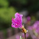 (주)빙그레 논산공장 - 386 | (주)빙그레 논산공장