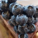 콜라보위드문탠바 이미지